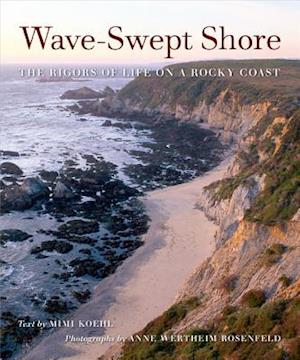 Wave-Swept Shore