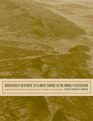 Biodiversity Response to Climate Change in the Middle Pleistocene