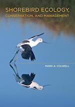 Shorebird Ecology, Conservation, and Management