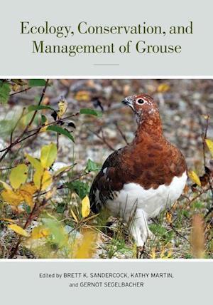 Ecology, Conservation, and Management of Grouse