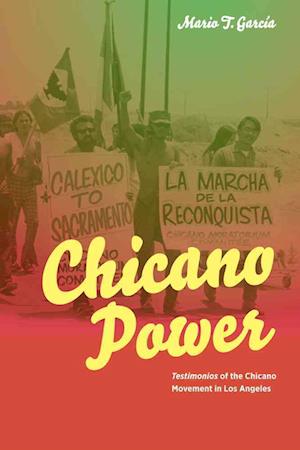 Chicano Power