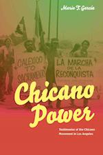 Chicano Power