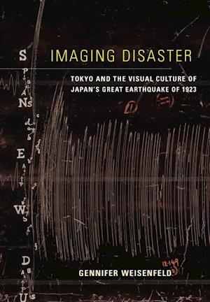 Imaging Disaster