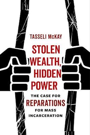 Stolen Wealth, Hidden Power