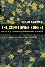Sunflower Forest