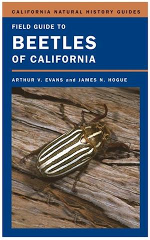 Field Guide to Beetles of California