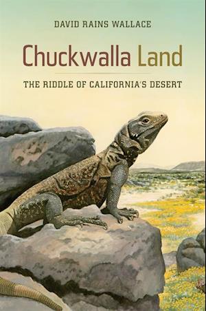 Chuckwalla Land