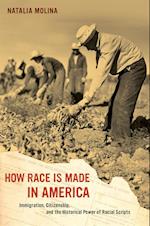 How Race Is Made in America