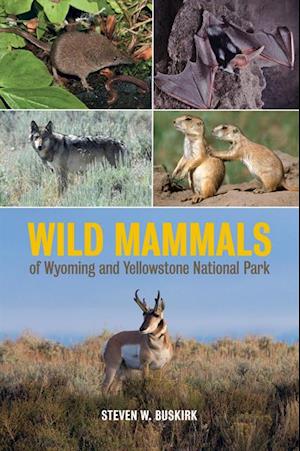 Wild Mammals of Wyoming and Yellowstone National Park