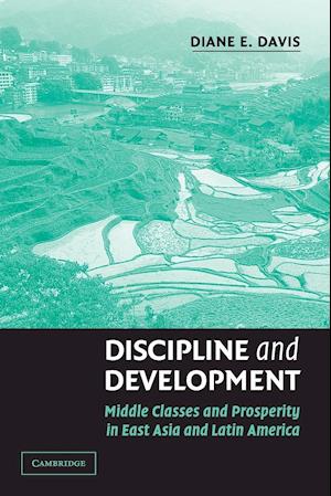 Discipline and Development