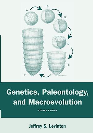 Genetics, Paleontology, and Macroevolution