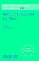 Quantum Groups and Lie Theory