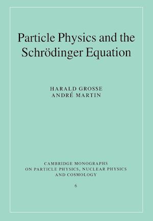 Particle Physics and the Schroedinger Equation