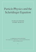 Particle Physics and the Schroedinger Equation