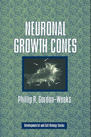 Neuronal Growth Cones