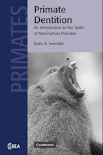 Primate Dentition