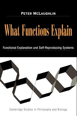 What Functions Explain