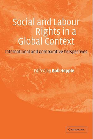 Social and Labour Rights in a Global Context