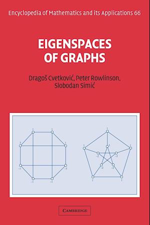 Eigenspaces of Graphs