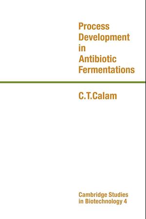 Process Development in Antibiotic Fermentations