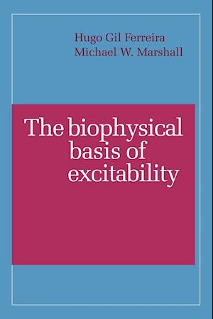 The Biophysical Basis of Excitability