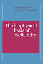 The Biophysical Basis of Excitability