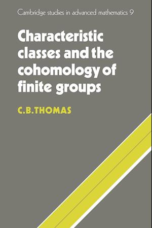 Characteristic Classes and the Cohomology of Finite Groups