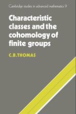 Characteristic Classes and the Cohomology of Finite Groups
