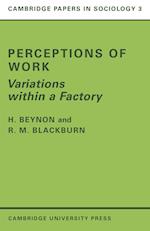 Perceptions of Work