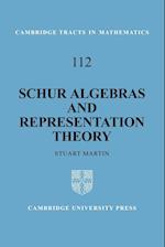 Schur Algebras and Representation Theory