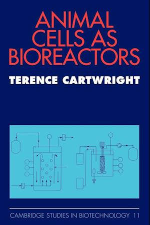 Animal Cells as Bioreactors