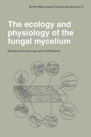 The Ecology and Physiology of the Fungal Mycelium