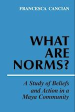 What Are Norms?