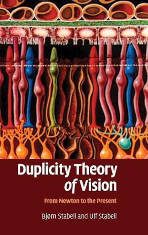 Duplicity Theory of Vision