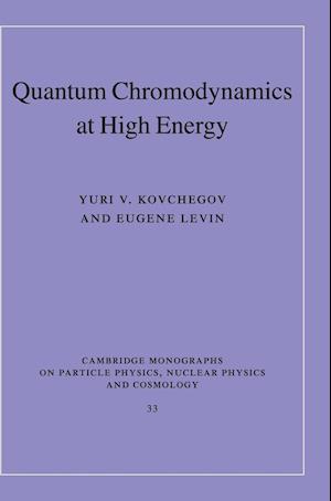 Quantum Chromodynamics at High Energy