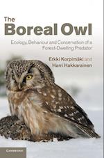 The Boreal Owl