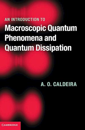 An Introduction to Macroscopic Quantum Phenomena and Quantum Dissipation