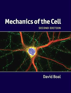 Mechanics of the Cell