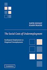 The Social Costs of Underemployment