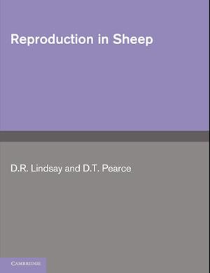 Reproduction in Sheep