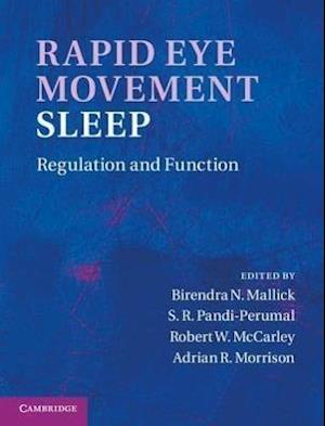 Rapid Eye Movement Sleep