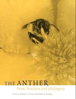 The Anther