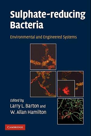 Sulphate-Reducing Bacteria