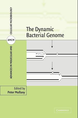 The Dynamic Bacterial Genome