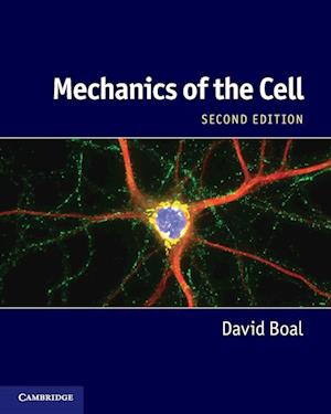 Mechanics of the Cell