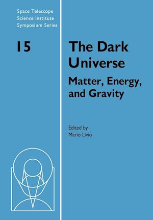 The Dark Universe
