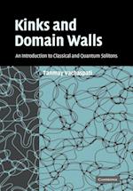 Kinks and Domain Walls