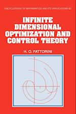 Infinite Dimensional Optimization and Control Theory