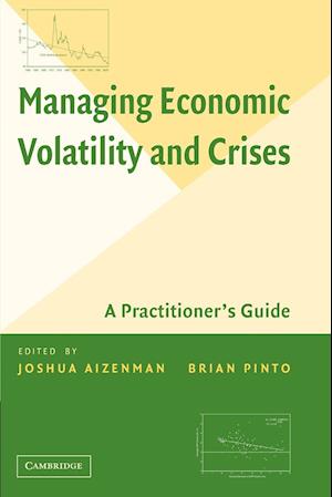 Managing Economic Volatility and Crises