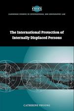 The International Protection of Internally Displaced Persons